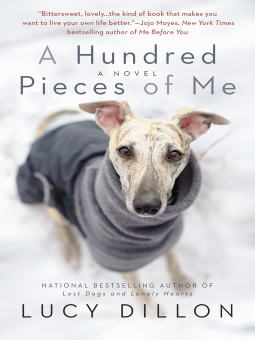 Title details for A Hundred Pieces of Me by Lucy Dillon - Available